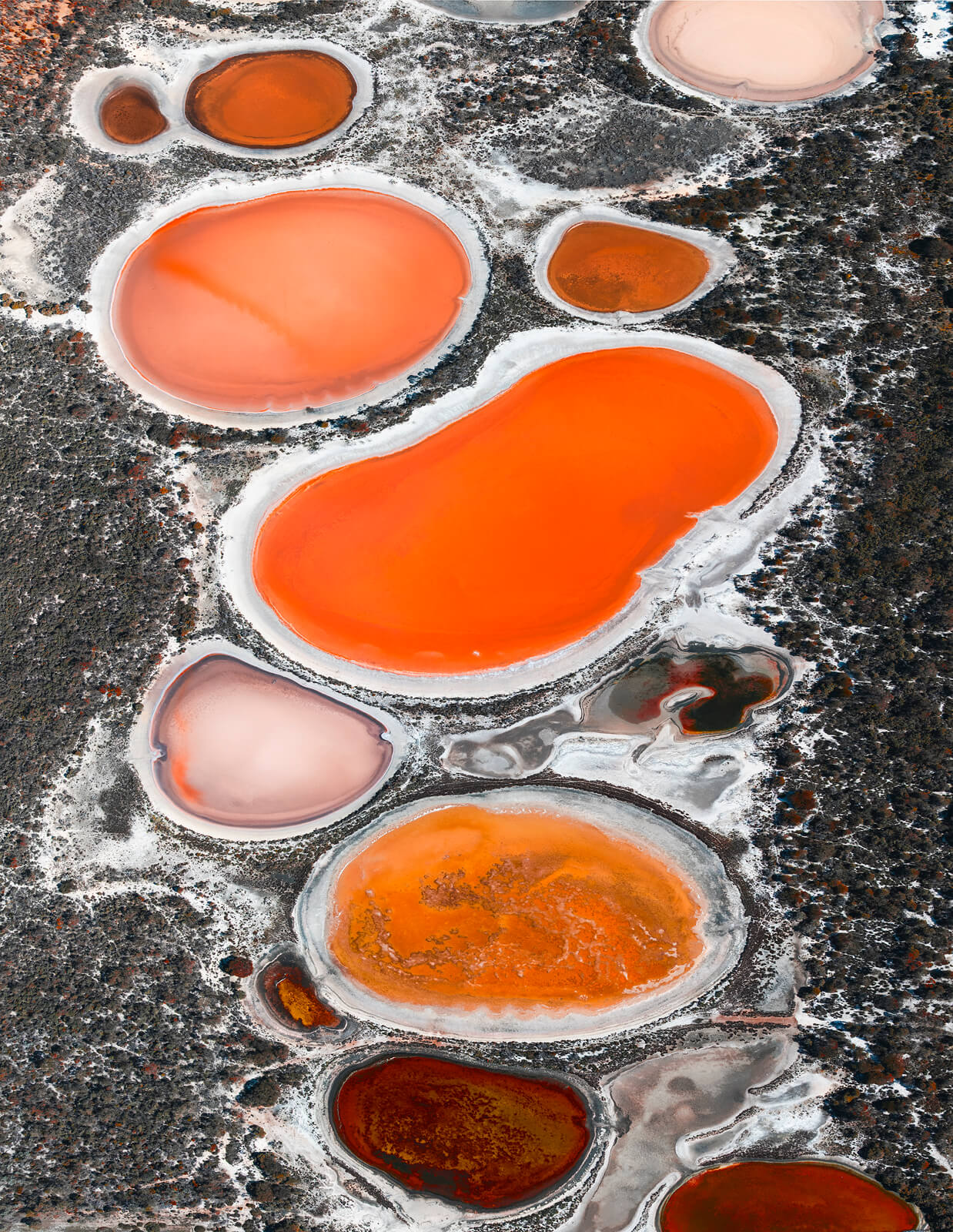Footprints - Image 6