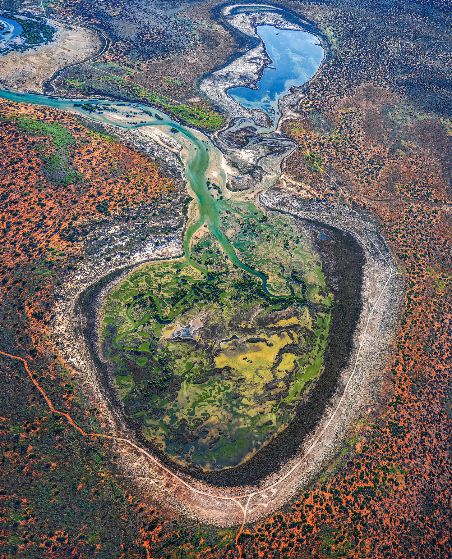 Heart of Shark Bay - Image 4
