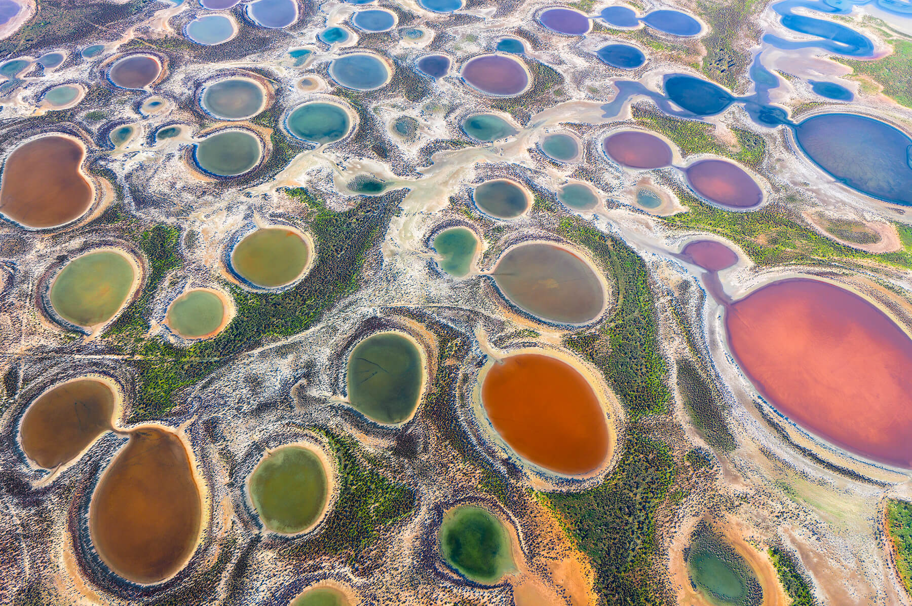 Natures Paint - Image 7