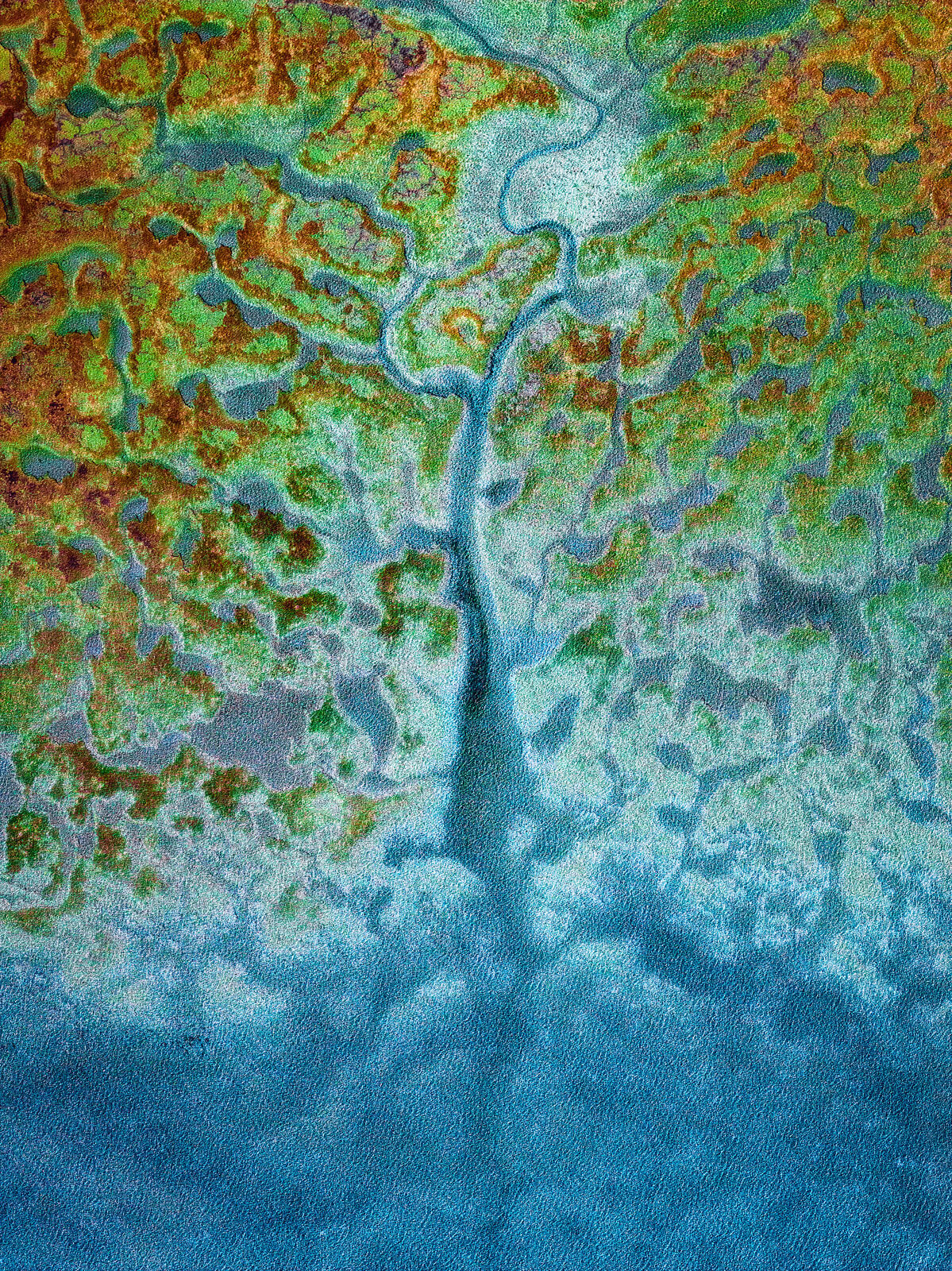 Tree of Life - Image 6