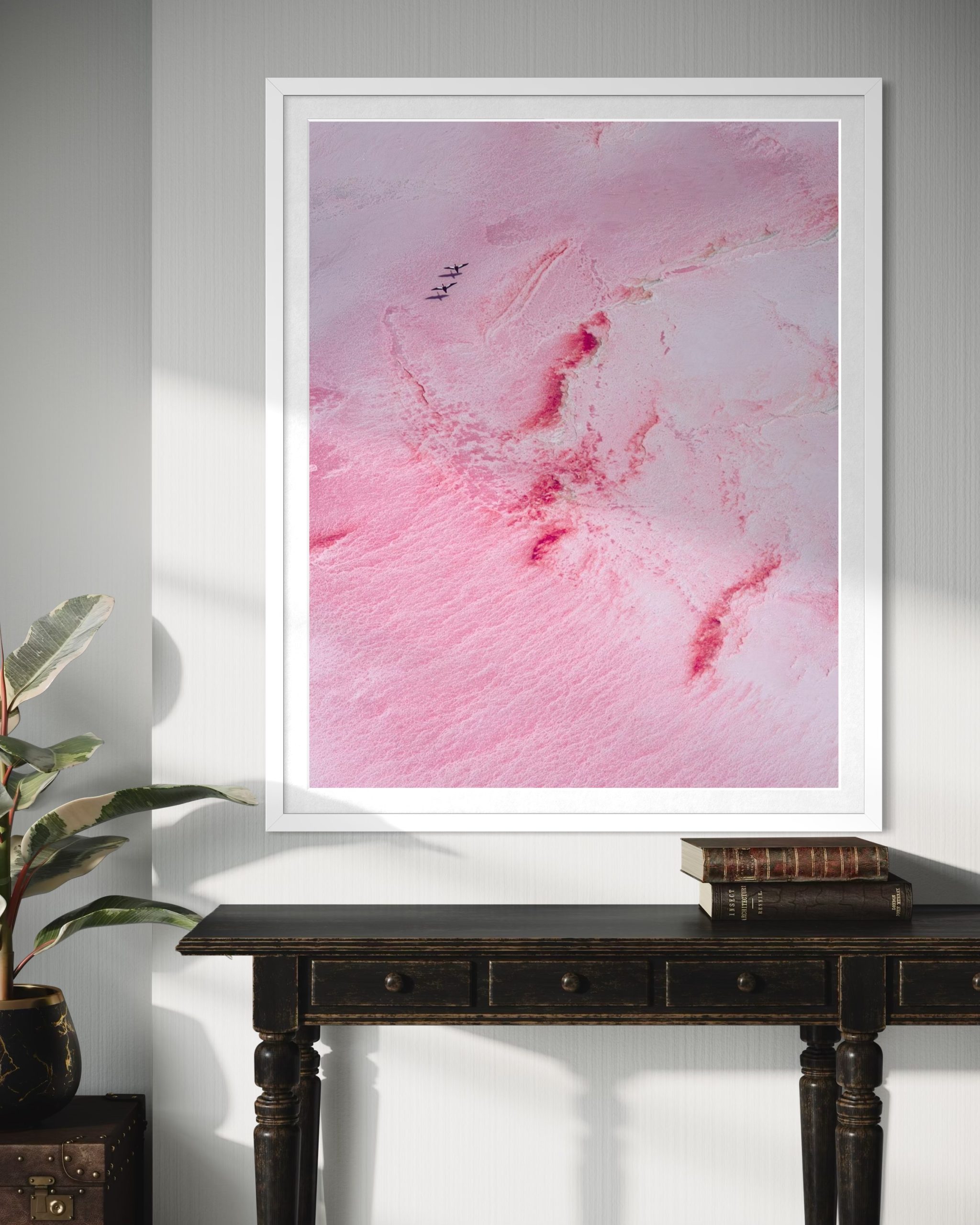 Pink Swans