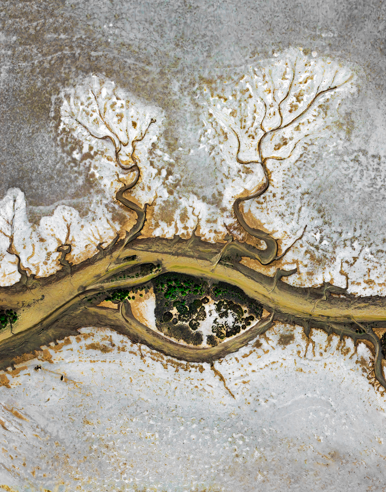 My Vision - Image 6