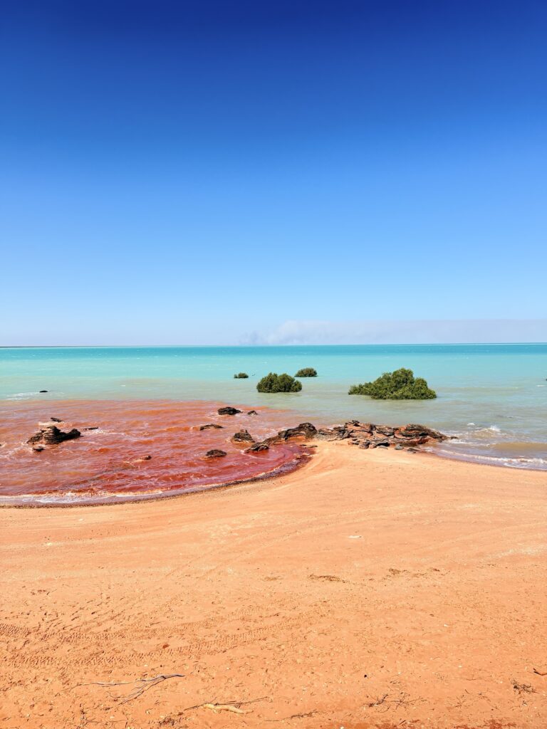 Red pindan water meeting turquoise sea and mangroves on the Kimberley coast